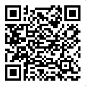 skarmavbild 2022 04 12 kl. 17.35.45 300x300